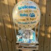 Welcome To The World | Basket - Image 5