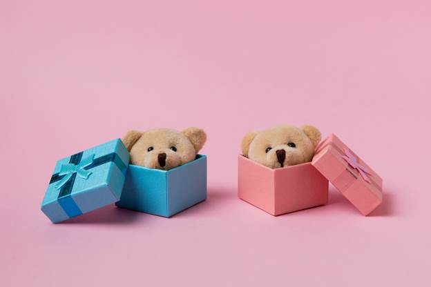 Twins Baby Gift Box Ideas: Double the Love, Double the Joy